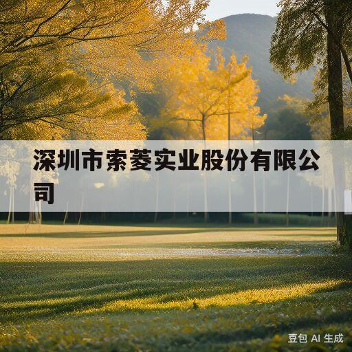 深圳市索菱实业股份有限公司(深圳市索菱实业股份有限公司电话)